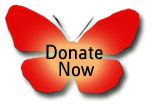Donate Now